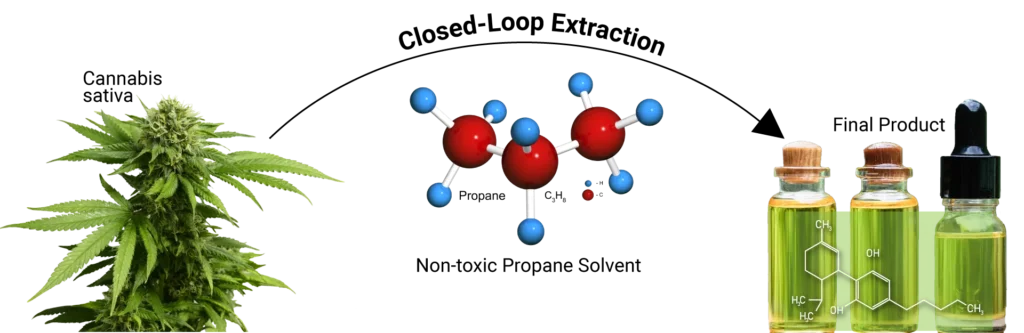 Cannabis plant, propane molecule model, and green extract bottles with chemical structure overlay